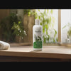 Netriva shampoo shown beside fresh rosemary and nettle