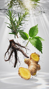 Rosemary, nettle, He Shou Wu root and ginger dropping into clear water