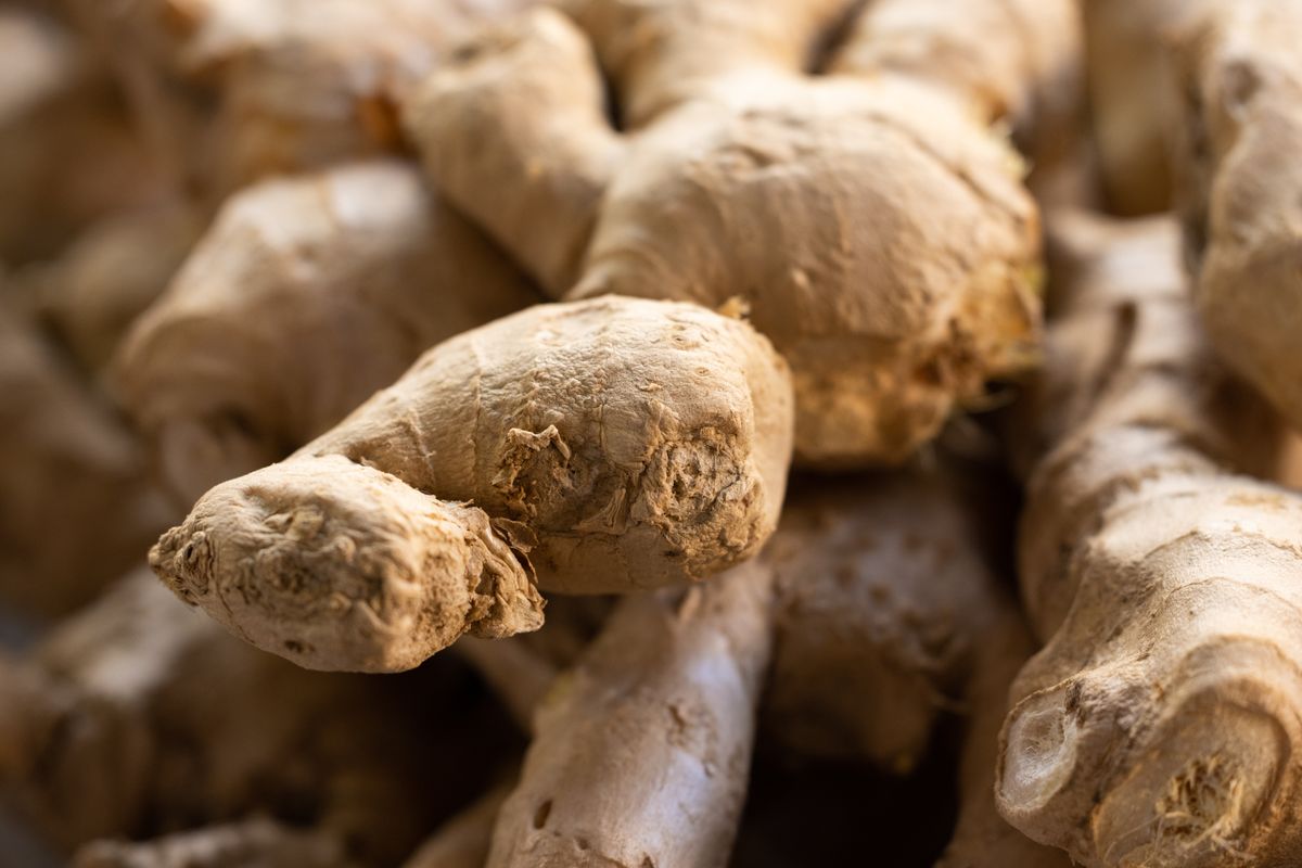 Fresh ginger root